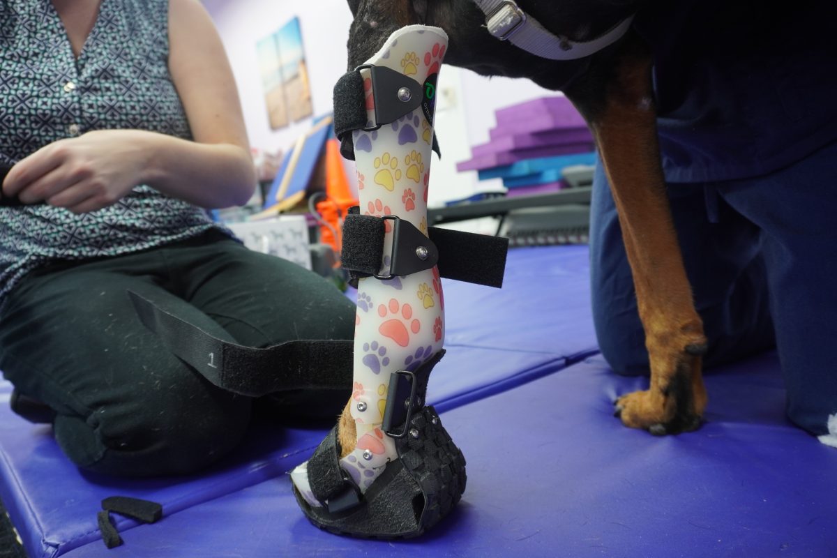 Custom paw-print leg brace