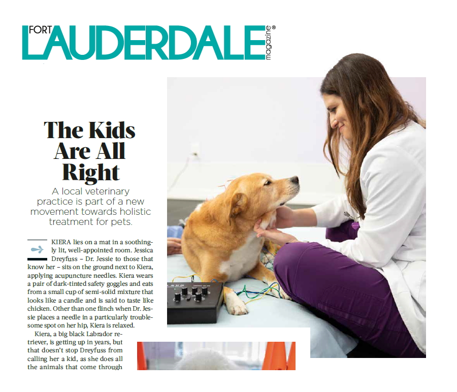 Local Love for Healing Paws Center on Fort Lauderdale Magazine