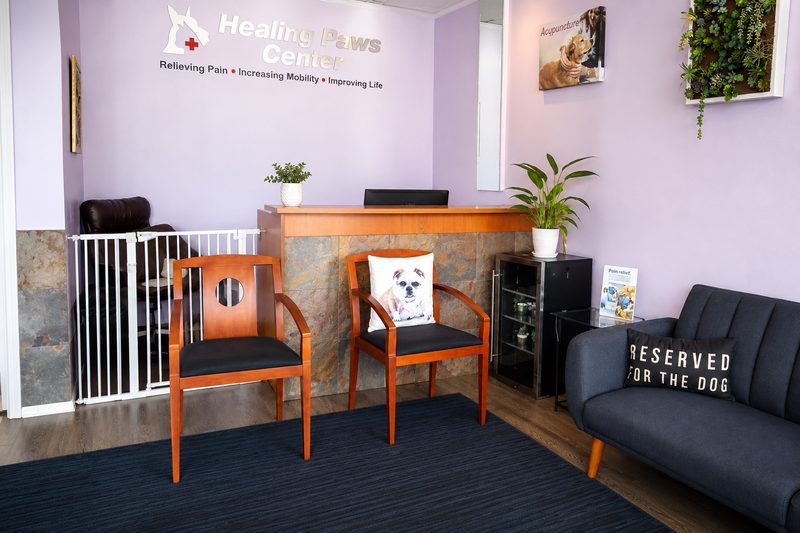 Healing Paws Center reception