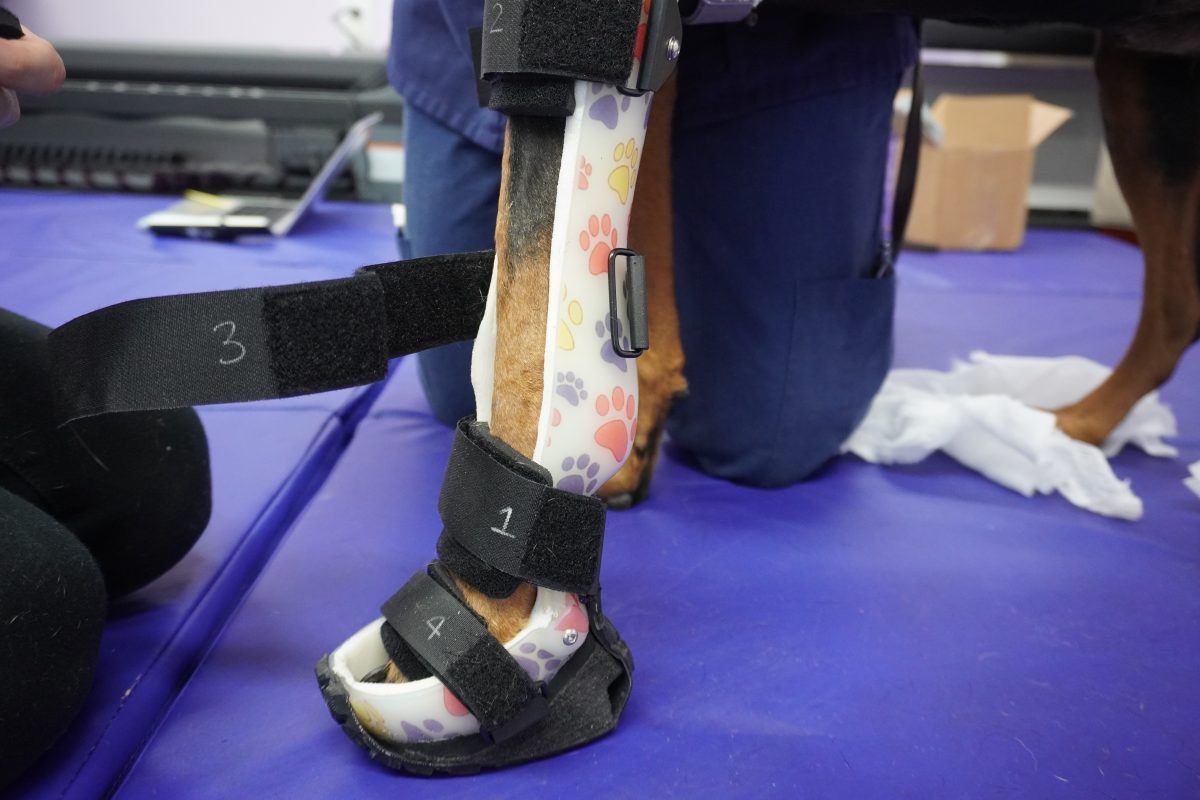 Brace fitting closeup