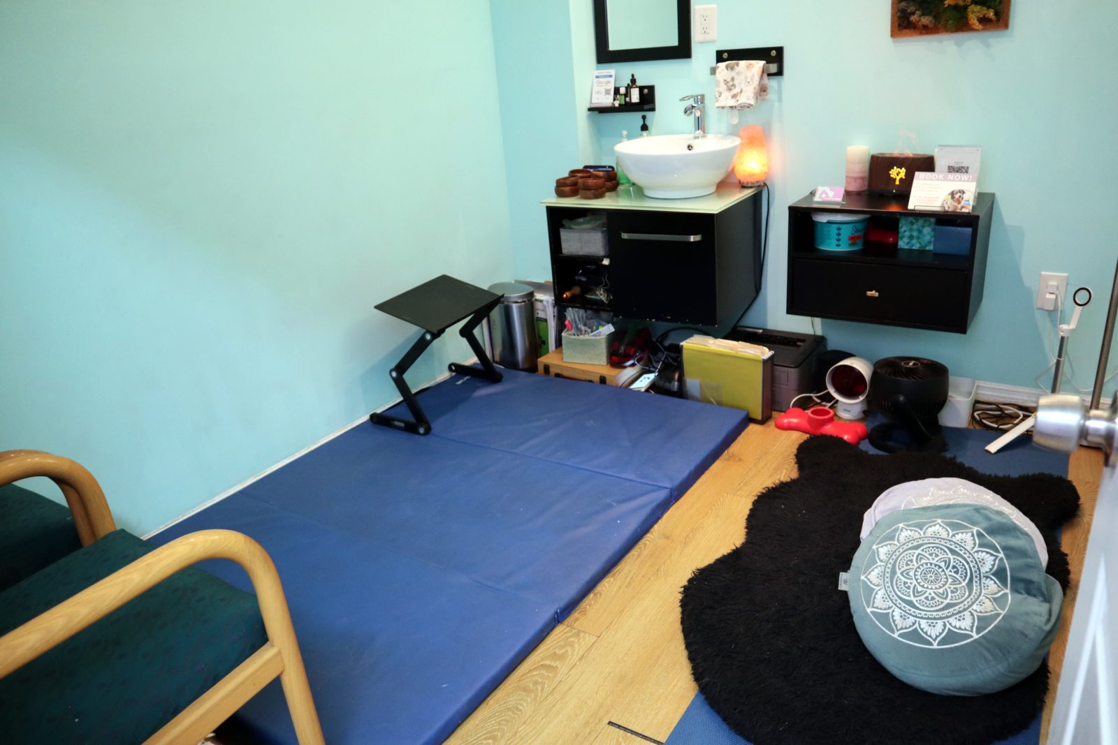 Healing Paws Center therapy room