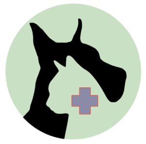 Holistic veterinary services at Healing Paws Center
