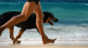 Ideas For Fun Exercise With Your Dog