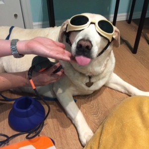 Nikki receives laser therapy for her chronic shoulder pain
