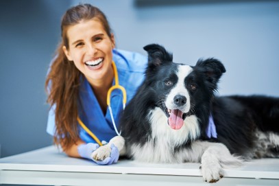 treating-dog-cancer-is-possible-with-holistic-healing-as-shown-by-this-happy-dog-and-smiling-vet