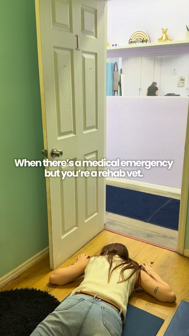 Healing Paws Center